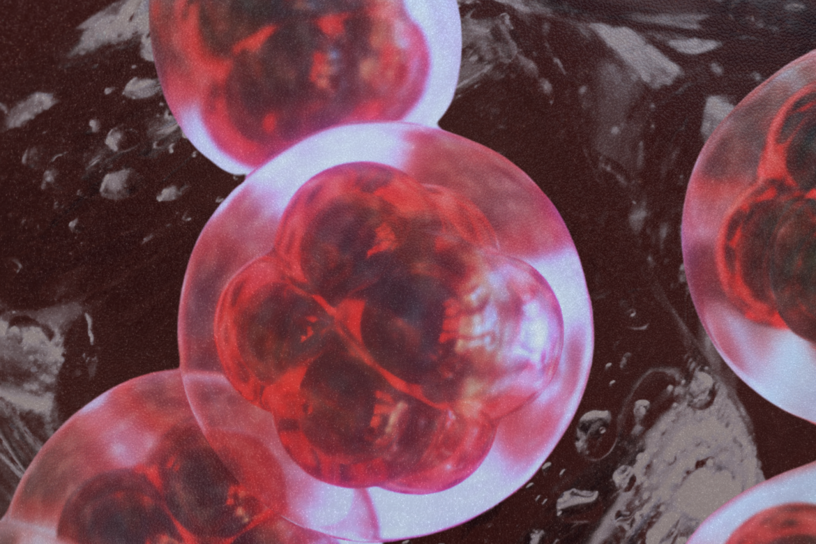 Embryos against an abstract background