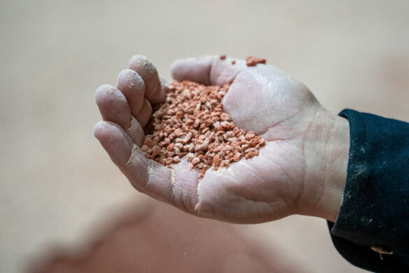 Potash Fertilizer