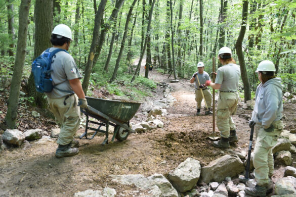 Americorps National Civilian Community Corps team working on trail maintenance and construction at Hawk Mountain. L to R Jeison Geist, Aurora Ill. Daniel Cabrera, Boise ID. Nora Ziogas, Springfield Ill. Mary Kellerman, Austin TX. 6/27/17 photo by Tim Leed