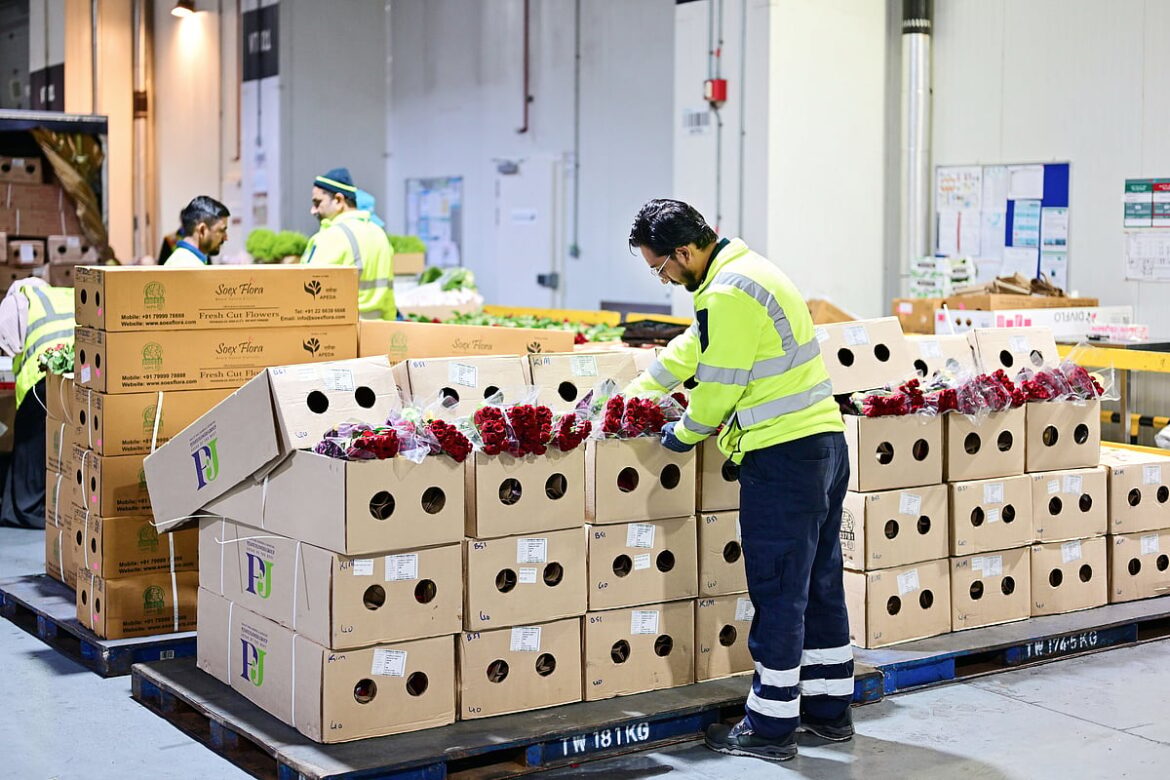 Inside Dubai’s 227-tonne Valentine’s flower operation