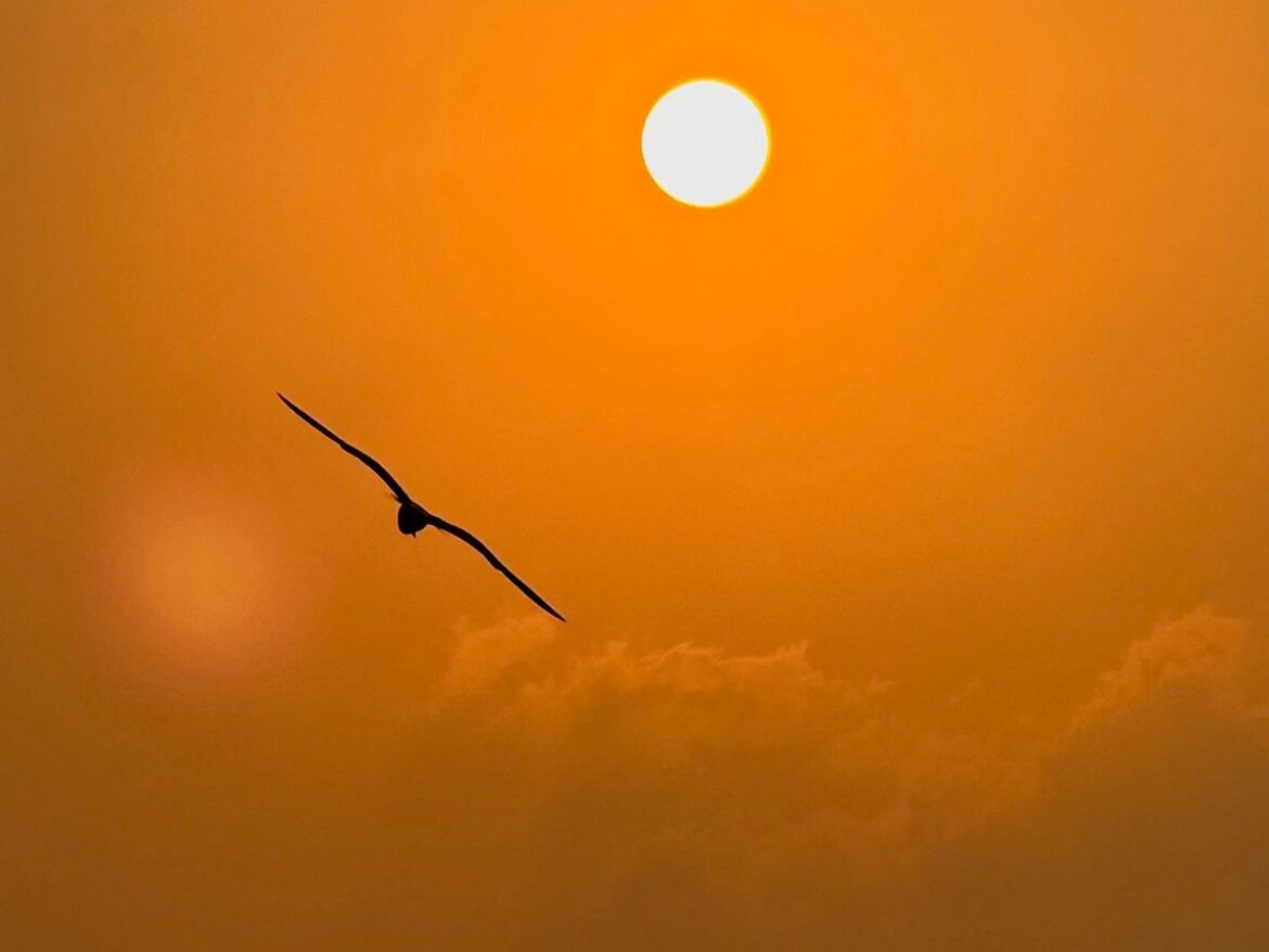 Readers capture UAE’s natural beauty in stunning photos