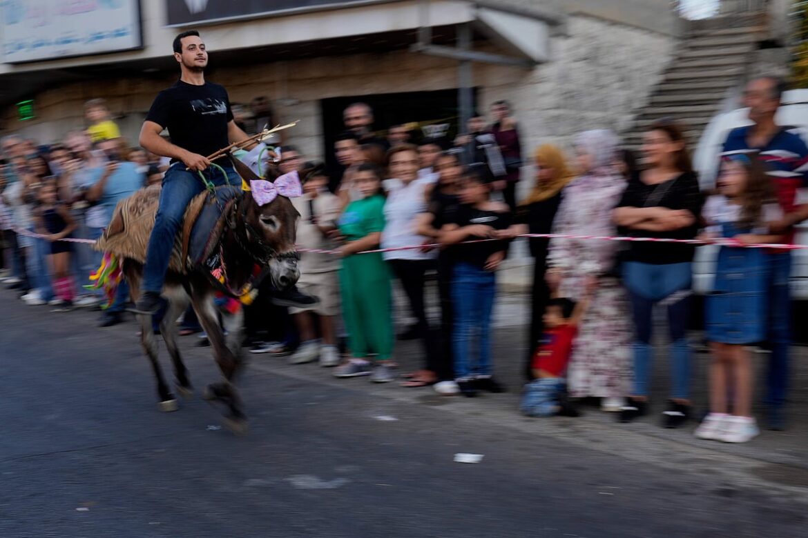 Donkeys don bows and sunglasses for a summer race in southern Lebanon, in photos