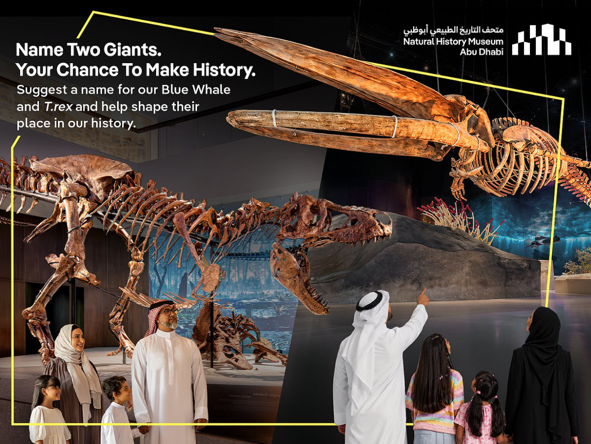 Natural History Museum Abu Dhabi asks public to name its T. rex and blue whale: 'Science begins with a name'